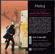 Meliaj - Rencontres de Saint-Brieuc
